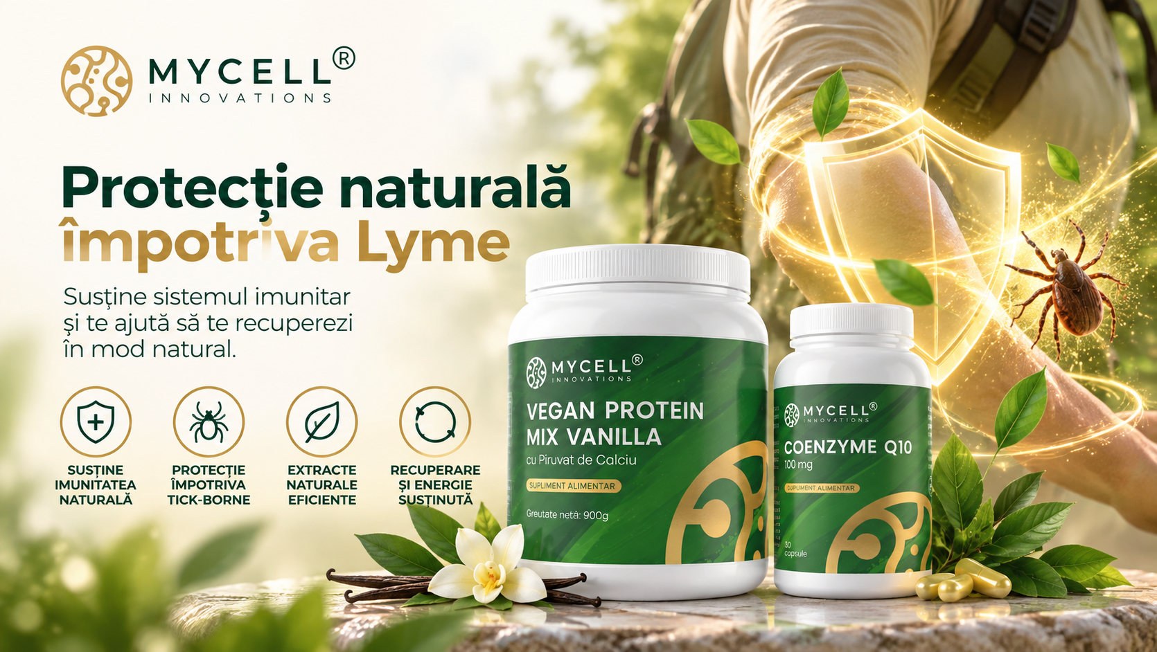 Microbiomul, imunitatea și boala Lyme cronică