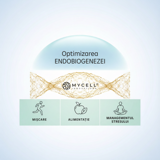 Tehnologie de micelizare