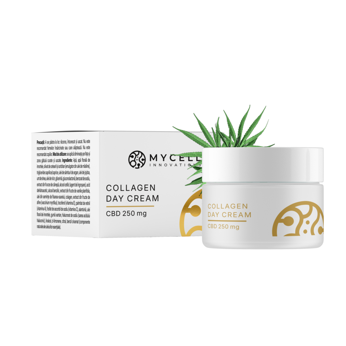 Collagen Day Cream